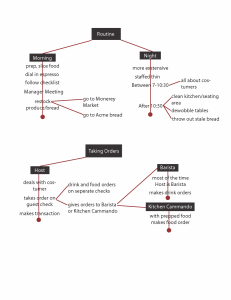 Taxonomy